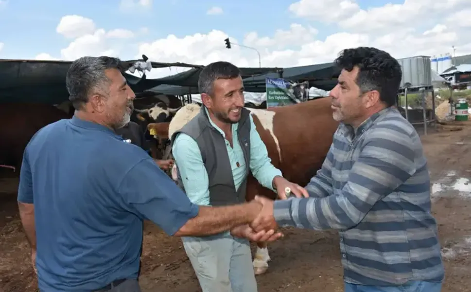 Kurban pazarının en büyüğü 'Haso Ağa', 480 bin TL'den satıldı