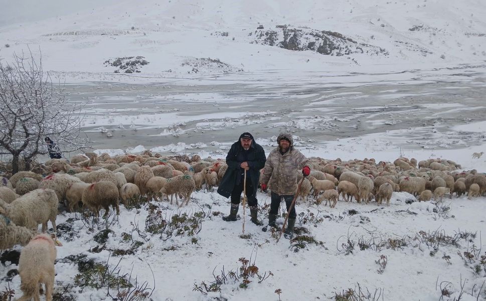 2 çoban ve yaklaşık 650 küçükbaş hayvan yaylada mahsur kaldı