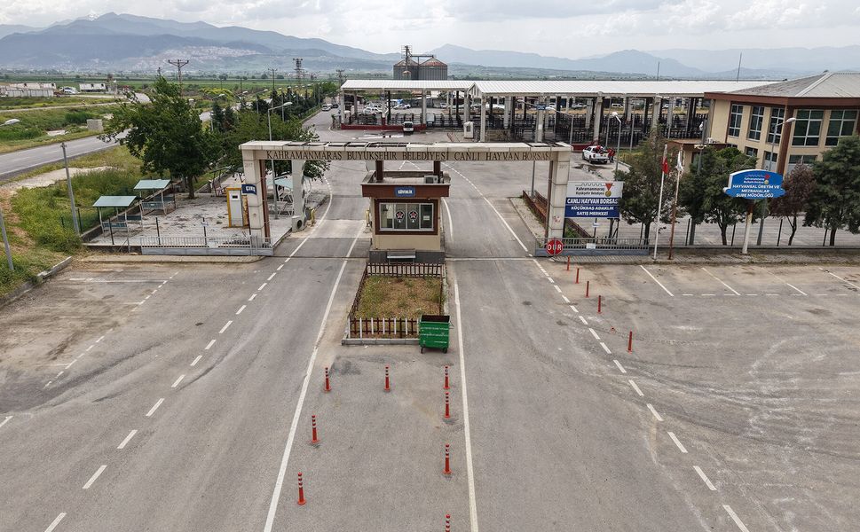 Kahramanmaraş'ta Kurbanlık Satışları Ne Zaman Başlıyor? Tarih Belli Oldu