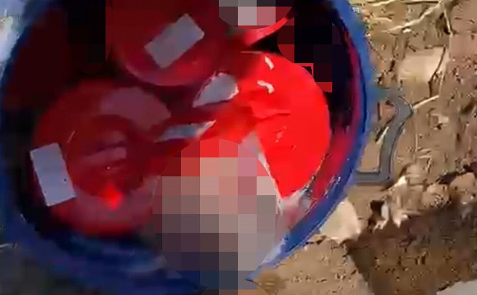 Plastik kutularda 21 cenin bulundu