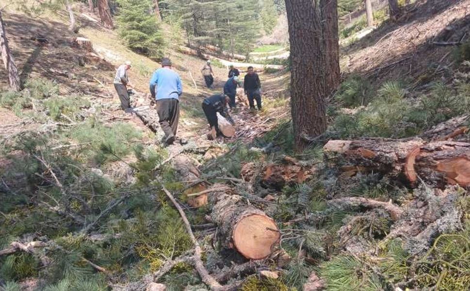 Kahramanmaraş’ta orman işçilerinin zorlu mesaisi