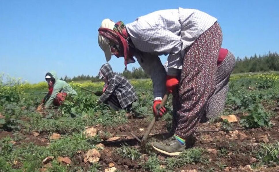 Kahramanmaraş’ta mevsimlik işçi göçü başladı