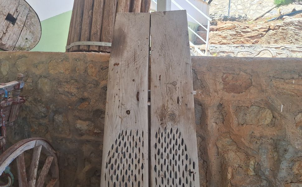 Kahramanmaraş'ta çiftçilerin yıllarca kullandığı “gem” şimdi dekor oldu