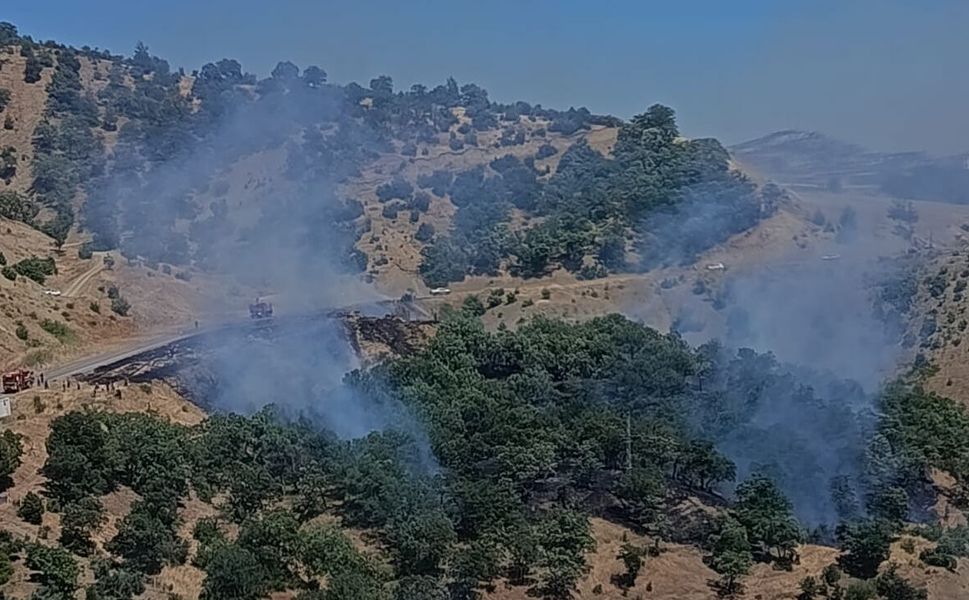 Kahramanmaraş'ta çıkan orman yangını kontrol altına alındı