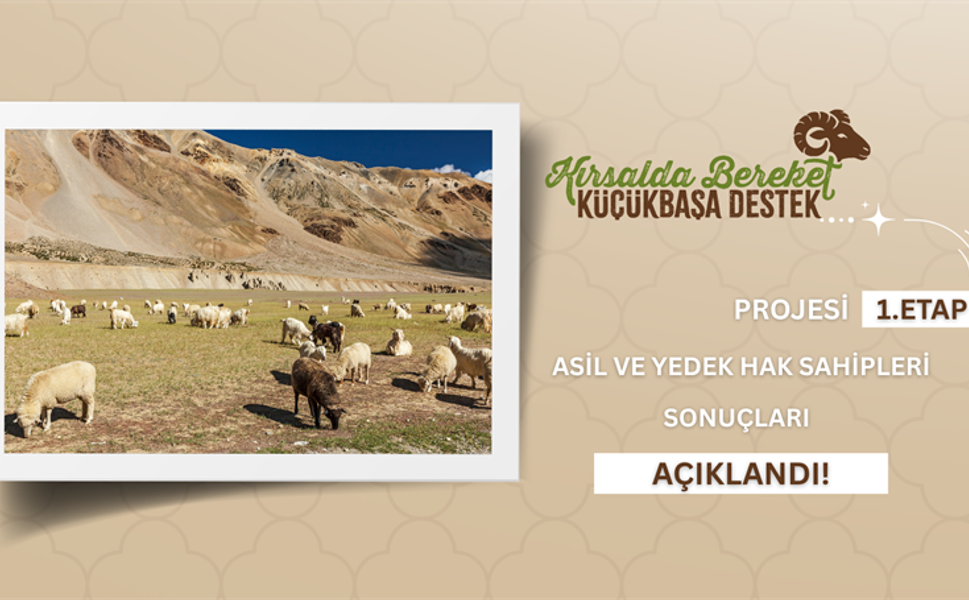 Kahramanmaraşlı Besicilere Müjde: Küçükbaş Destek Sonuçları Açıklandı