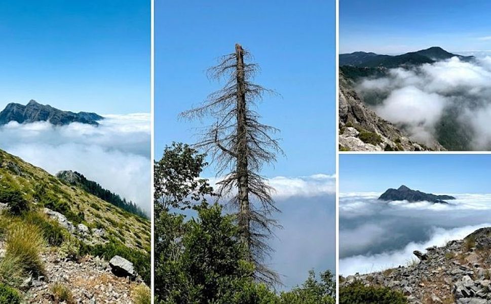 Kahramanmaraş’ta Kaya Düldül Dağı’nı sis denizi kapladı