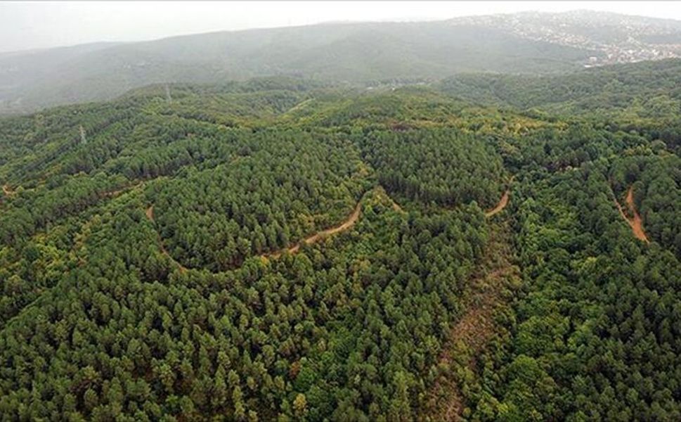 Kahramanmaraş’ta Ormanlara Giriş ve Ateş Yakmak Yasaklandı