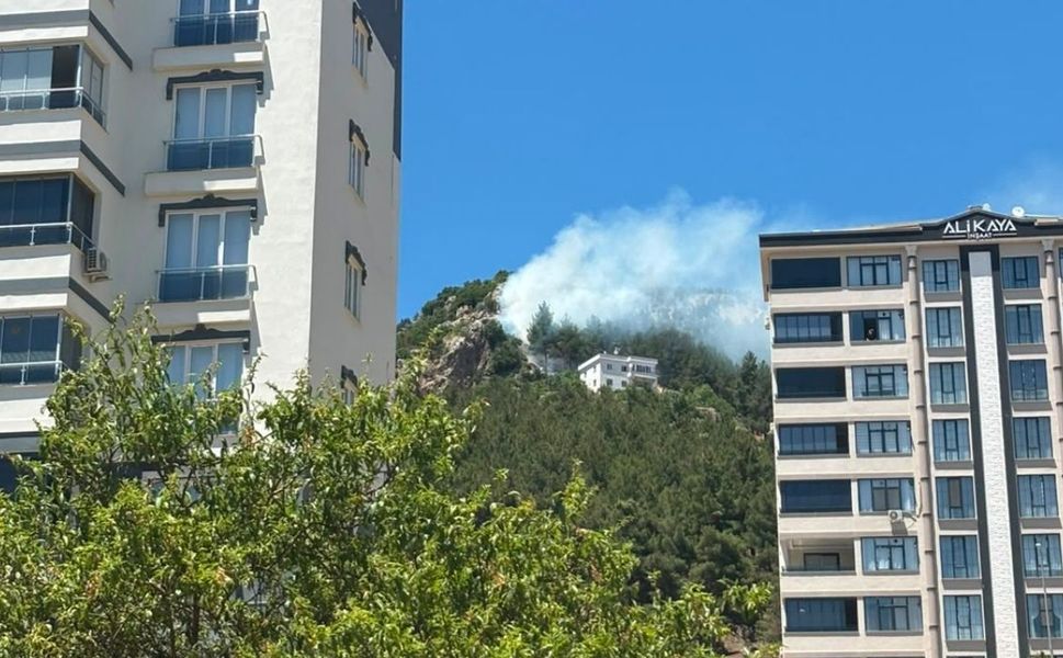 Kahramanmaraş'ta çıkan orman yangını söndürüldü