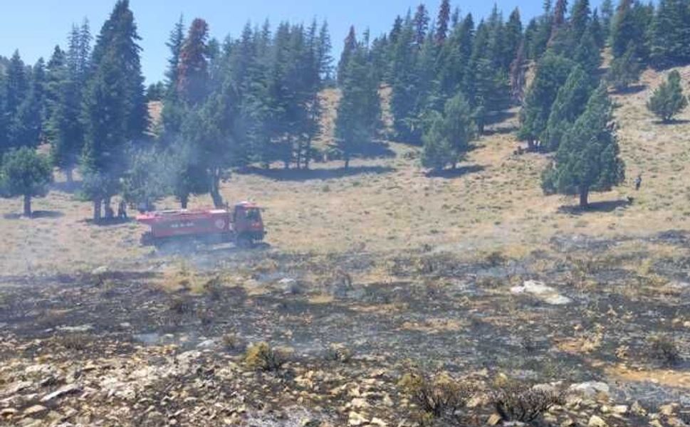 Kahramanmaraş'ta iki ilçede çıkan orman yangınları kontrol altına alındı