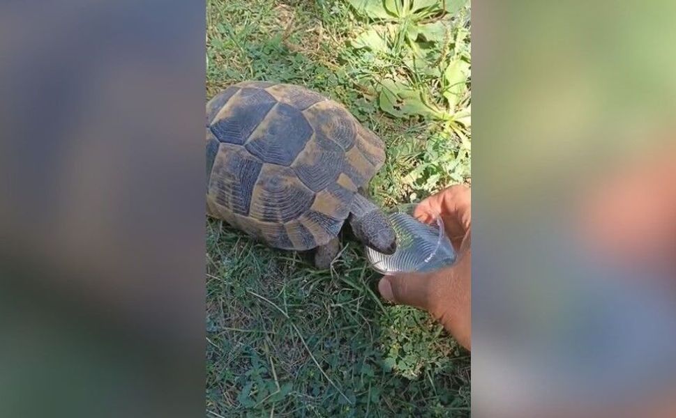 Kahramanmaraşlı Askeri Personelden Vefa Örneği