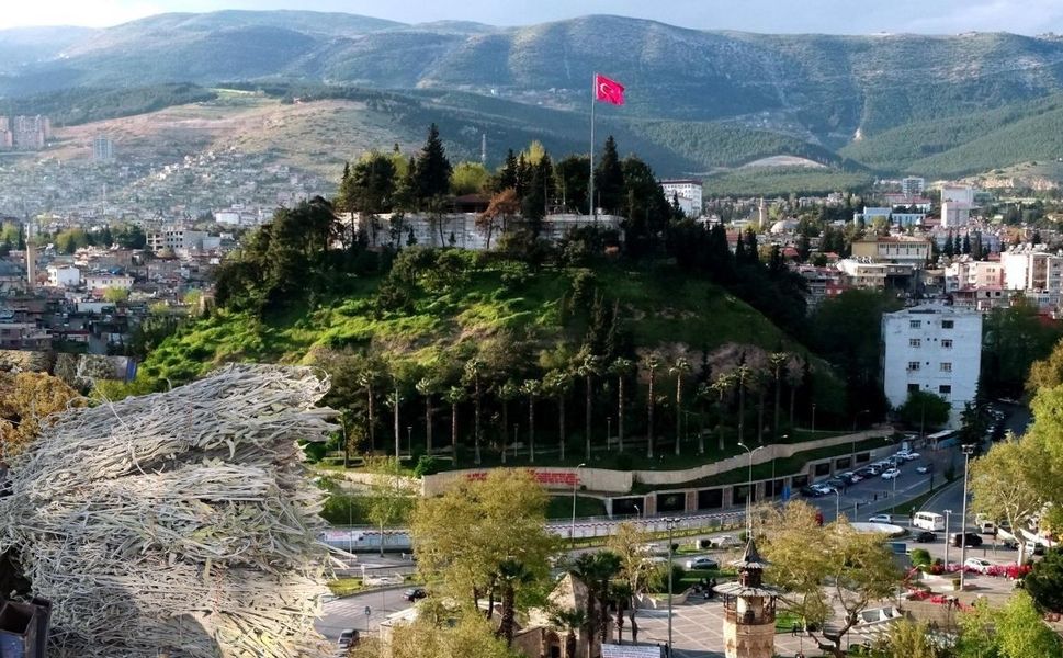 Kahramanmaraş Dağlarında Yetişiyor, Demeti 50 TL’den Satılıyor