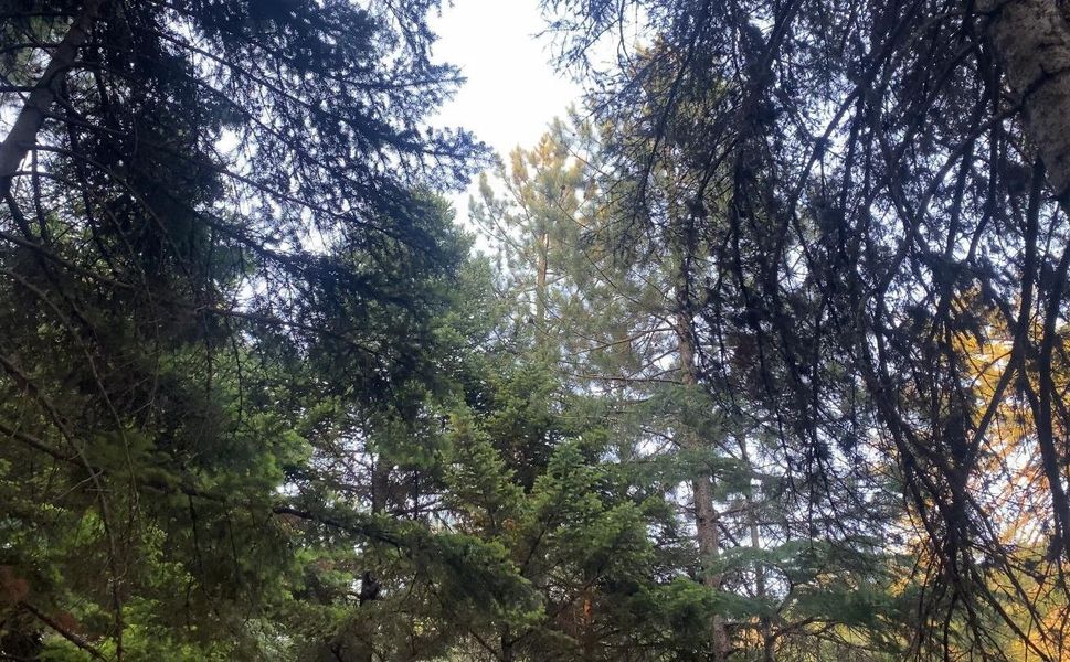 Kahramanmaraş yanıyor, orası serinliyor, vatandaşlar akın ediyor