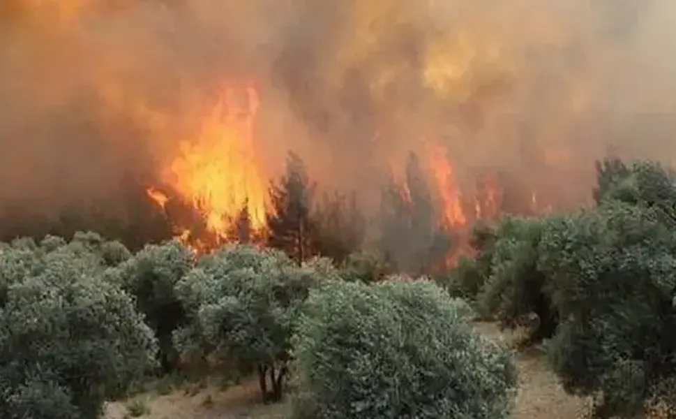 16 ildeki orman yangınlarına ilişkin 6 şüpheli hakkında tutuklama kararı