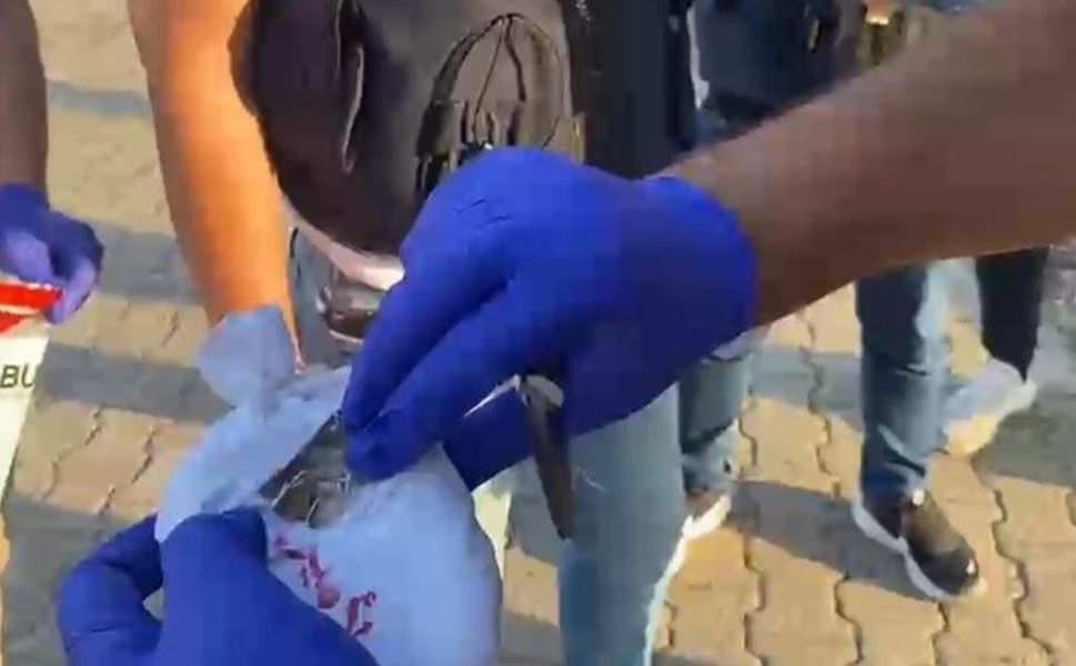 Kahramanmaraş Dahil 20 İlde Operasyon: 6,7 Milyon Kök İmha Edildi