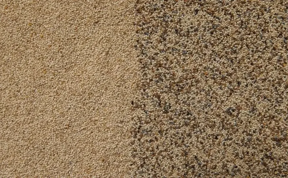 Toprak Mahsulleri Ofisi kilogramı 140 liradan haşhaş tohumu alacak