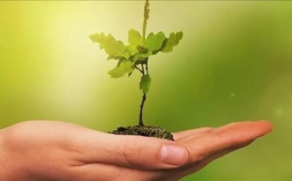COP31 Gençlik İklim Ideathonu başvuruları başladı