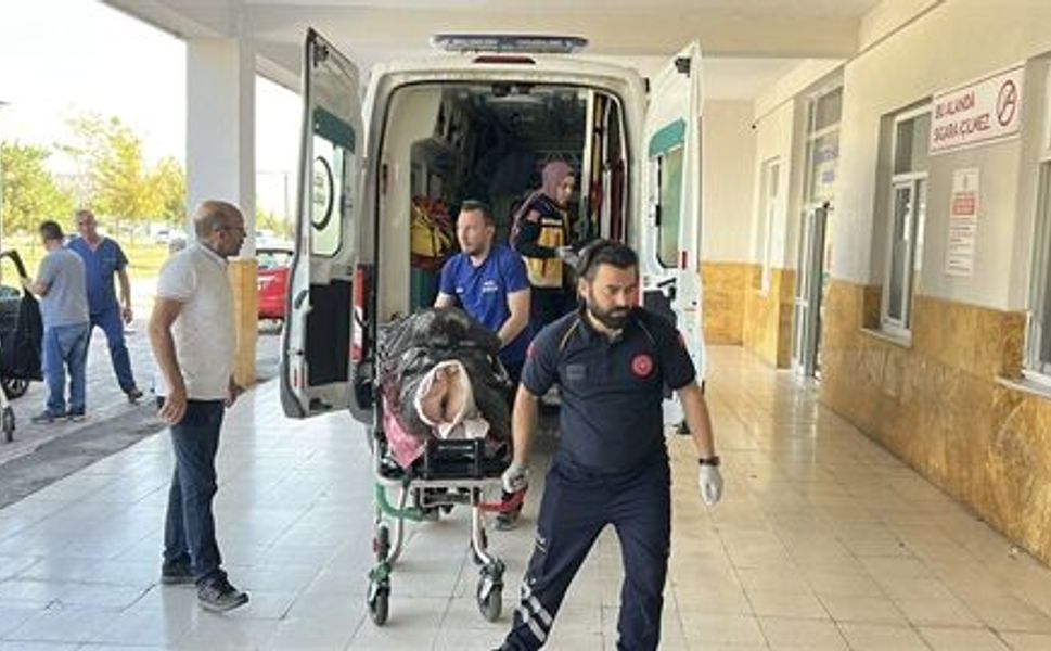 Hayvan otlatırken ayının saldırısına uğrayan çoban yaralandı