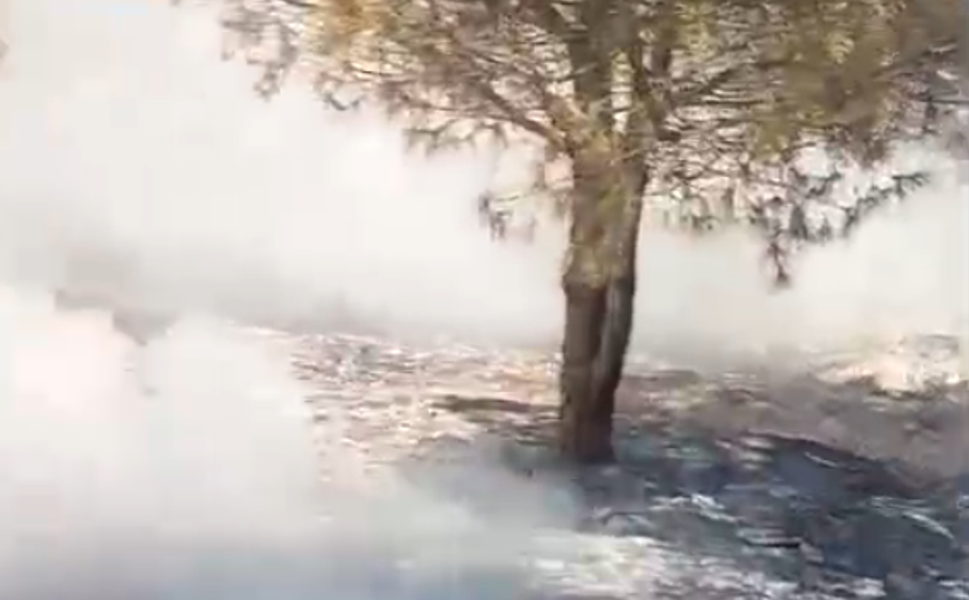 Kurtlar TOKİ’de Trafo Patlaması Orman Yangınına Neden Oldu