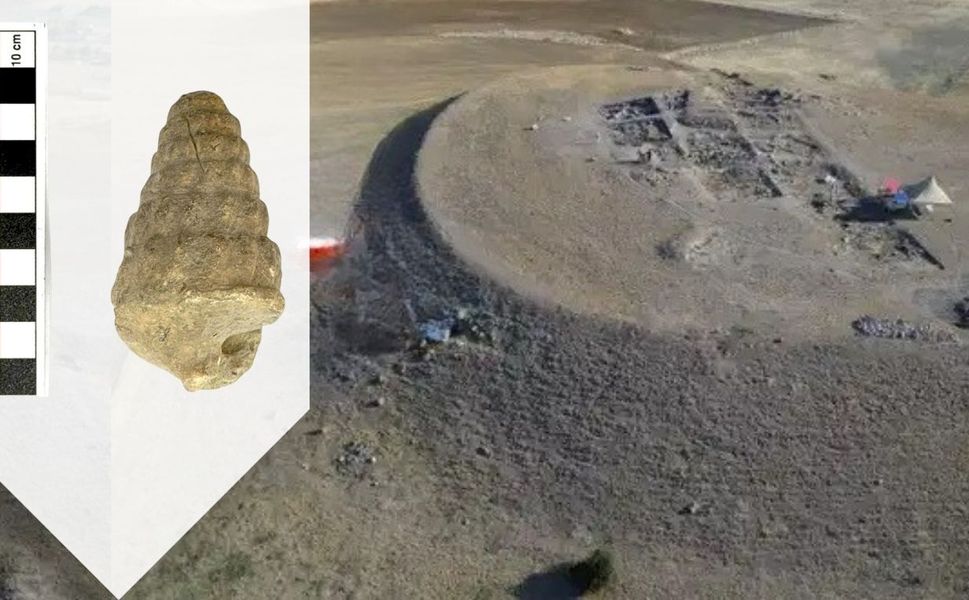 Milyonlarca Yıllık Sır Ortaya Çıktı! Külhöyük’te 66 Milyon Yıllık Fosil Bulundu