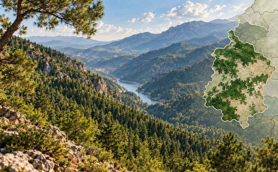 Kahramanmaraş’ın Orman Varlığı Dikkat Çekti