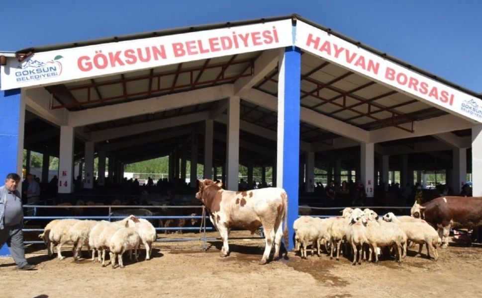 Göksun’da Hayvan Borsası geçici süreyle kapatıldı