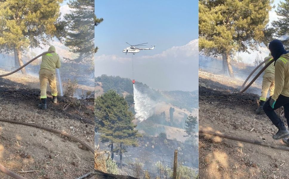 Kahramanmaraş’ta Orman Yangını: Ekipler Havadan ve Karadan Müdahale Ediyor
