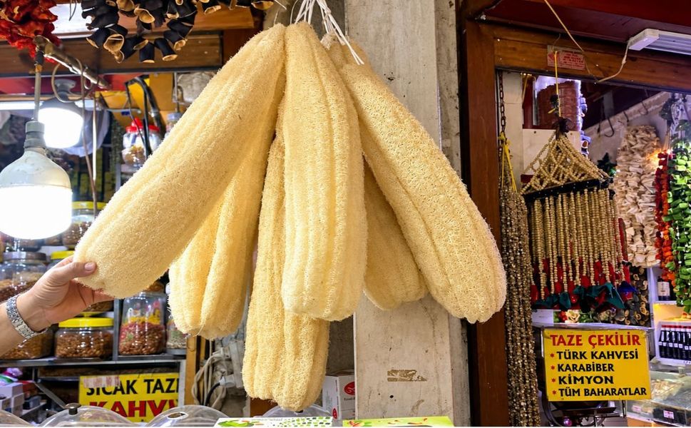 Kahramanmaraş’ta Kabak Lifi Kişisel Bakımın Doğal Alternatifi Oldu