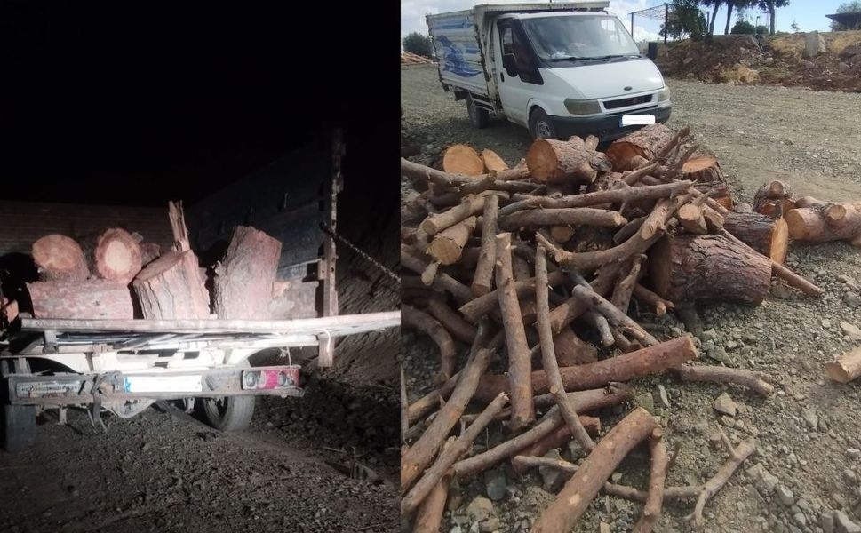 Kahramanmaraş Pazarcık’ta Kaçak Orman Emvali Ele Geçirildi