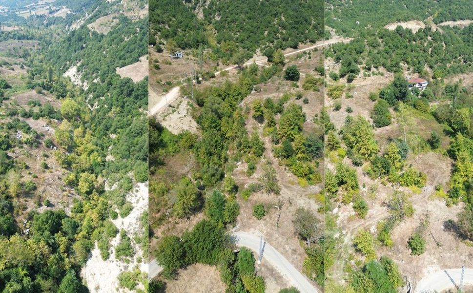 Sonbahar Kahramanmaraş’ın Ormanlarını Renk Cümbüşüne Çevirdi