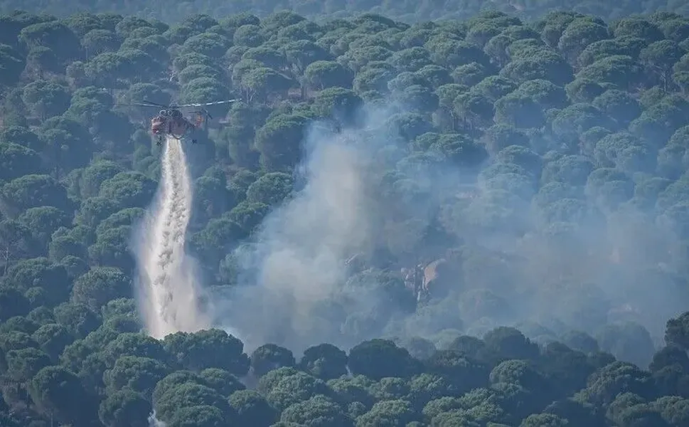 Kahramanmaraş’ta Yangın Riski Artarsa Ormanlara Giriş Yasaklanabilecek