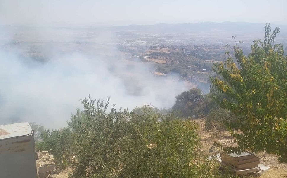 Kahramanmaraş'ta ziraat alanında çıkan yangın kontrol altına alındı