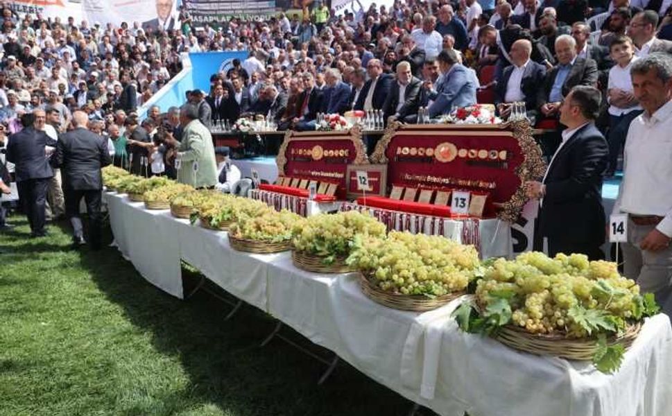 Bertiz’de 30. Kez Er Meydanı Kuruluyor