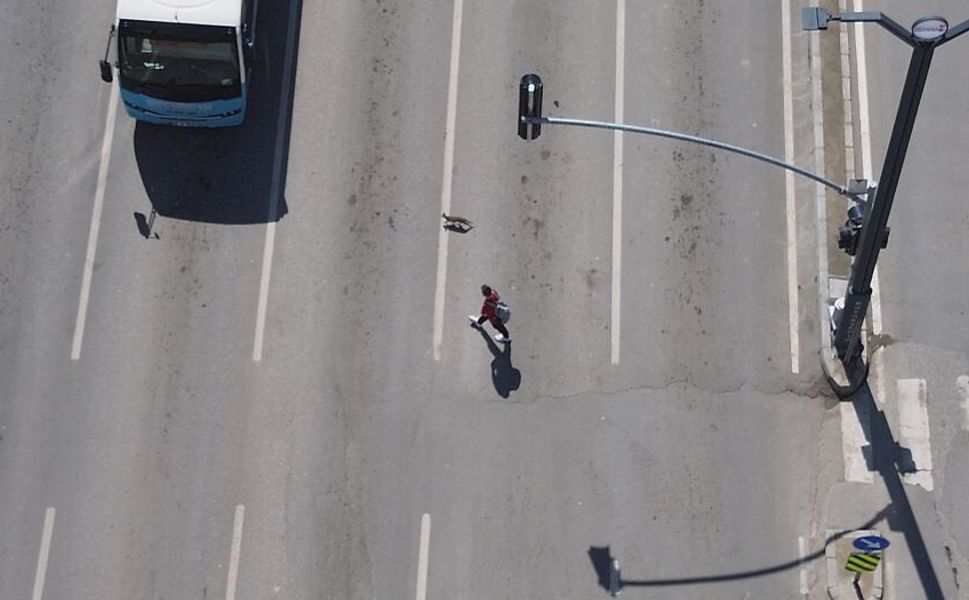 Kahramanmaraş’ta Sokak Kedisi Trafiği Birbirine Kattı