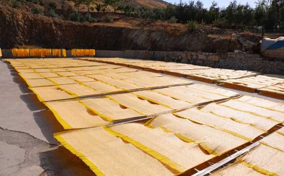 Kahramanmaraş’ta tarhana üretiminde 3 bin 650 tonluk rekolte