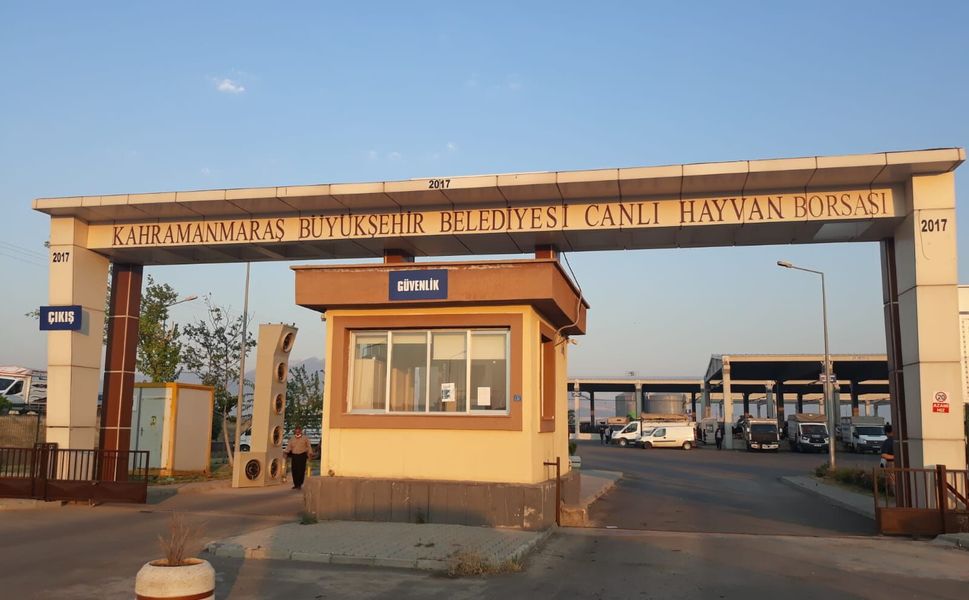 Kahramanmaraş’ta Canlı Hayvan Borsası geçici süreyle kapatıldı