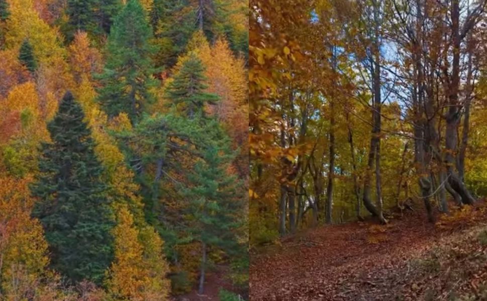Kahramanmaraş’ın bu ilçesi sonbaharda büyülüyor