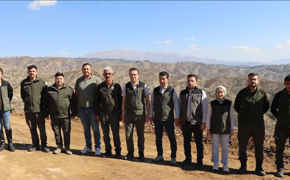 Kahramanmaraş’ta Yanan Ormanlar Yeniden Yeşeriyor