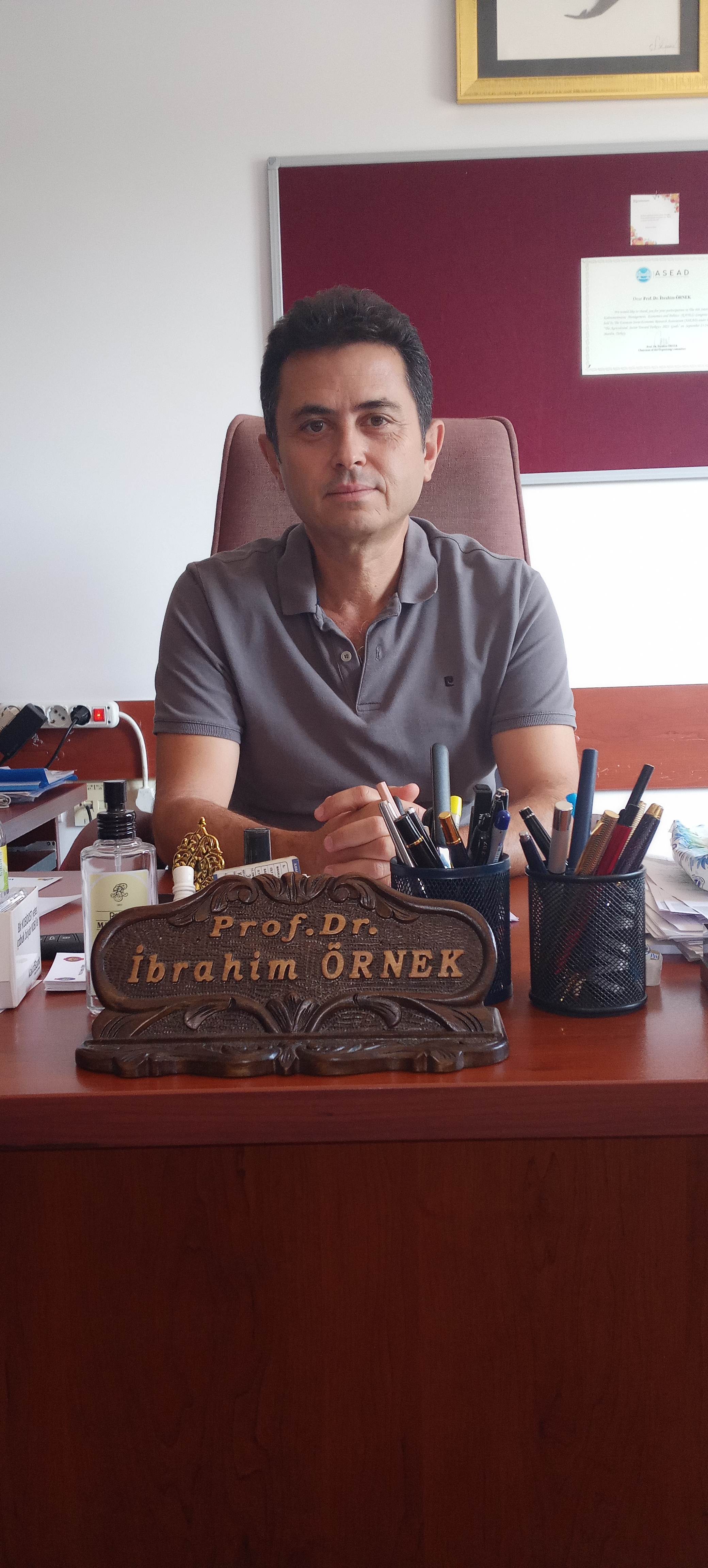 Prof. Dr. İbrahim Örnek 