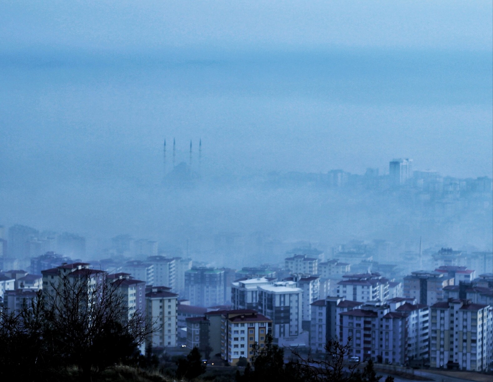 AW771393_02