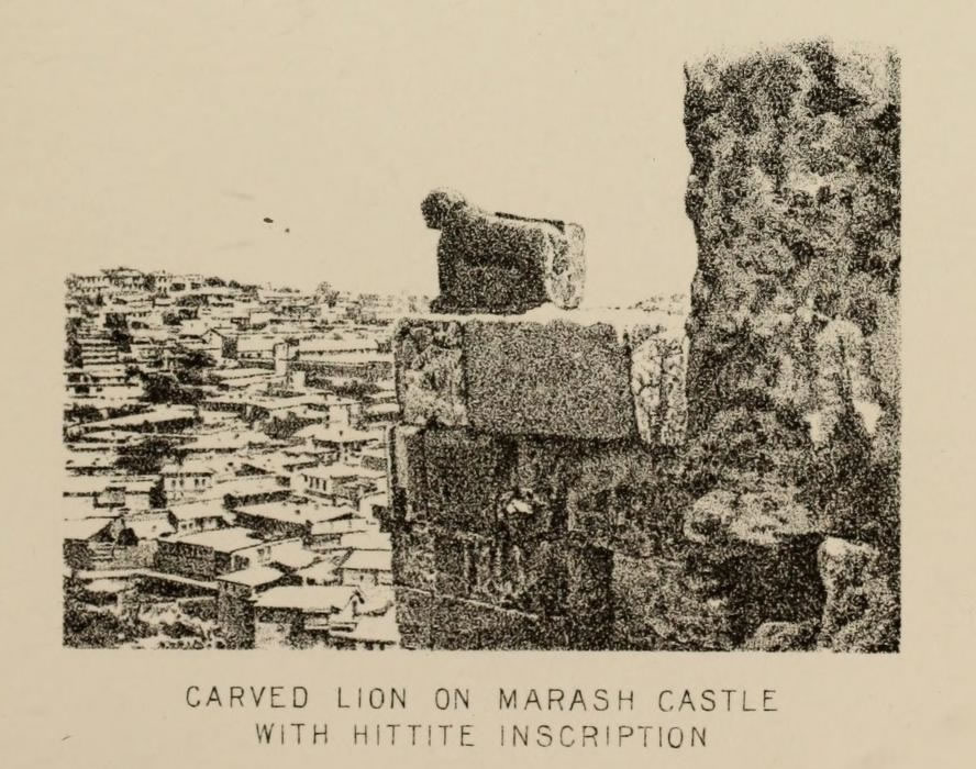 Maras Aslani 1886