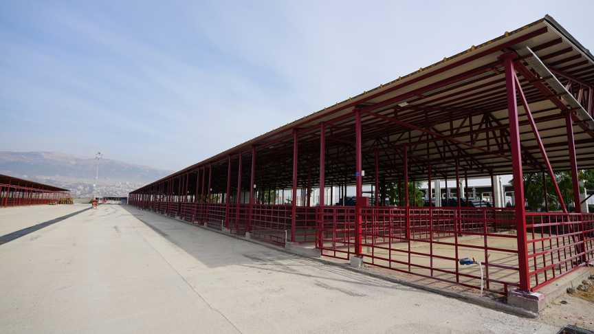 Canlı Hayvan Borsası (1)-3