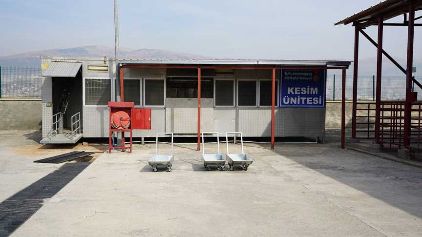 Canlı Hayvan Borsası (2)-2