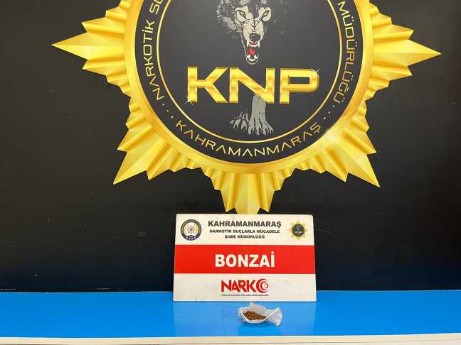 Fotoğraf (6)-8