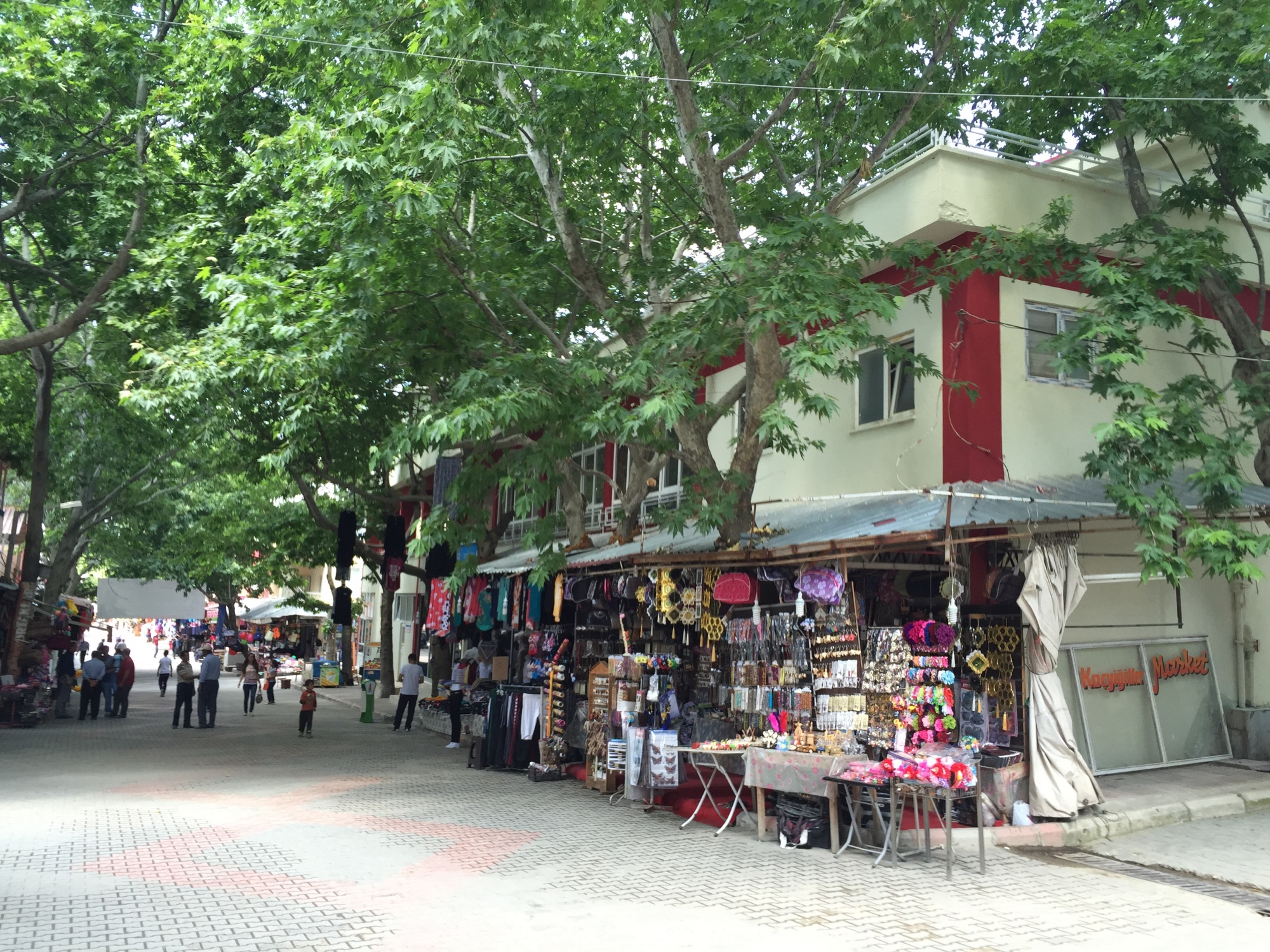 Img 1807-1