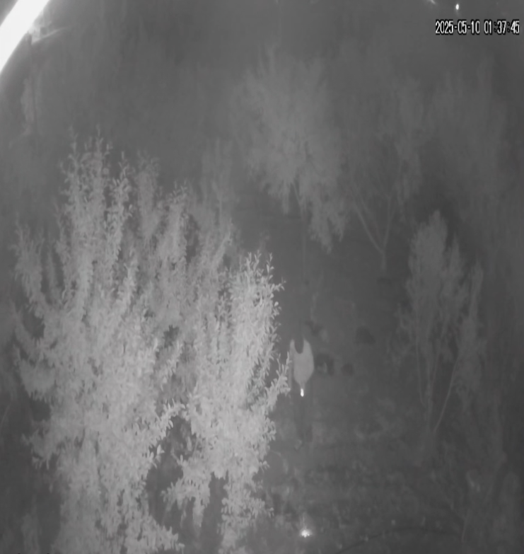 Screenshot 30