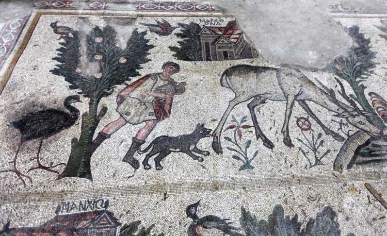 20161214145849856 K.maras Germenicia Servet Uygun (4)