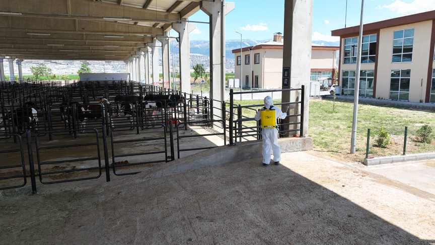 Canlı Hayvan Borsası (1) (1)