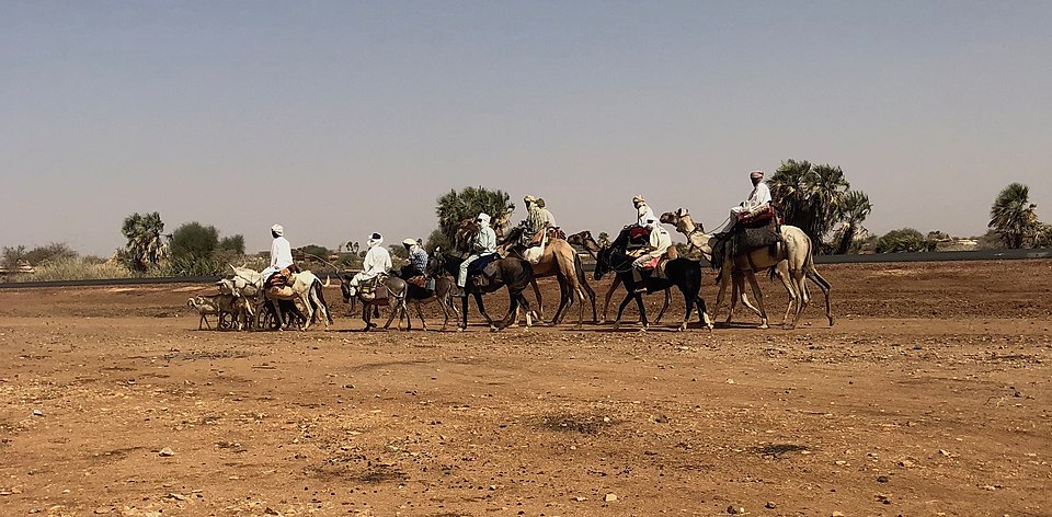 Darfur Kervan
