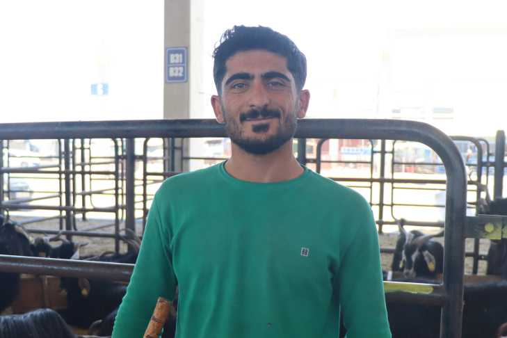 Habil Kaya