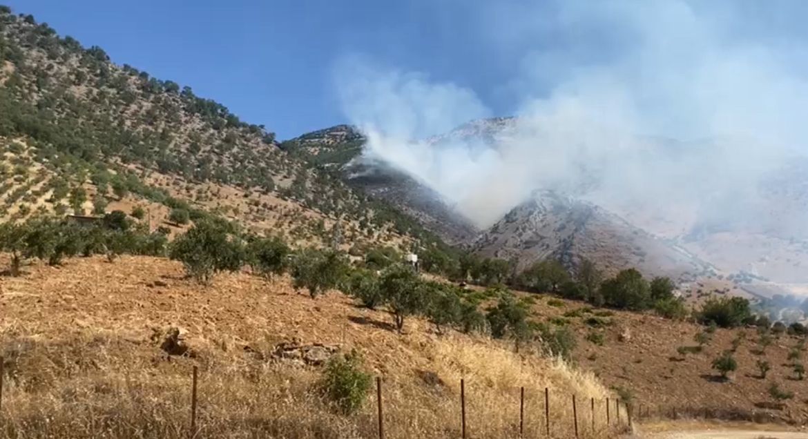 Kahramanmaraş Türkoğlu’nda Orman Yangını